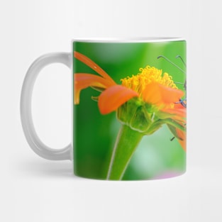 Monarch Butterfly on Flower Photograph Mug